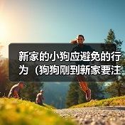 新家的小狗应避免的行为(狗狗刚到新家要注意的事项)(图3) 新家的小狗应避免的行为(狗狗刚到新家要注意的事项)(图3)