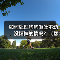 如何处理狗狗呕吐不动,没精神的情况?(帮助你的宠物恢复活力和健康)(图1) 如何处理狗狗呕吐不动,没精神的情况?(帮助你的宠物恢复活力和健康)(图1)