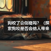 狗咬了会倒霉吗?(探索狗咬是否会给人带来厄运的迷信观念)(图1) 狗咬了会倒霉吗?(探索狗咬是否会给人带来厄运的迷信观念)(图1)