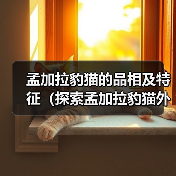 孟加拉豹猫的品相及特征（探索孟加拉豹猫外貌和行为的迷人之处）（图4）