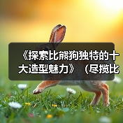 《探索比熊狗独特的十大造型魅力》（尽揽比熊萌态，一览十款独具特色的造型艺术品）（图2）