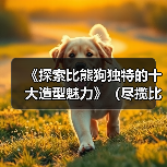 《探索比熊狗独特的十大造型魅力》（尽揽比熊萌态，一览十款独具特色的造型艺术品）（图4）