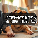 法国指示猎犬的饲养方法(健康、训练、社交化的关键)(图4) 法国指示猎犬的饲养方法(健康、训练、社交化的关键)(图4)