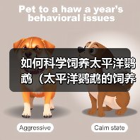 如何科学饲养太平洋鹦鹉(太平洋鹦鹉的饲养方法与技巧)(图1) 如何科学饲养太平洋鹦鹉(太平洋鹦鹉的饲养方法与技巧)(图1)