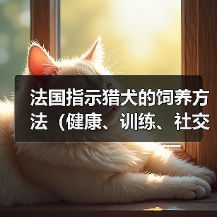 法国指示猎犬的饲养方法(健康、训练、社交化的关键)(图2) 法国指示猎犬的饲养方法(健康、训练、社交化的关键)(图2)