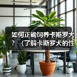 如何正确饲养卡斯罗犬？（了解卡斯罗犬的性格和需要，从而做好饲养工作）（图2）