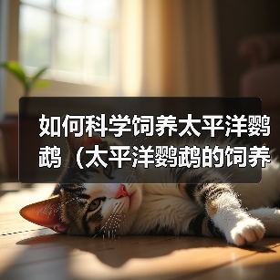 如何科学饲养太平洋鹦鹉(太平洋鹦鹉的饲养方法与技巧)(图2) 如何科学饲养太平洋鹦鹉(太平洋鹦鹉的饲养方法与技巧)(图2)