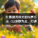 红骨猎浣熊犬的饲养方法(以宠物为主,打造健康快乐的生活)(图3) 红骨猎浣熊犬的饲养方法(以宠物为主,打造健康快乐的生活)(图3)