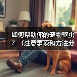 如何帮助你的宠物驱虫?(注意事项和方法分享)(图2) 如何帮助你的宠物驱虫?(注意事项和方法分享)(图2)
