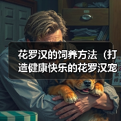 花罗汉的饲养方法(打造健康快乐的花罗汉宠物生活)(图4) 花罗汉的饲养方法(打造健康快乐的花罗汉宠物生活)(图4)