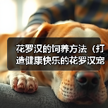 花罗汉的饲养方法(打造健康快乐的花罗汉宠物生活)(图2) 花罗汉的饲养方法(打造健康快乐的花罗汉宠物生活)(图2)