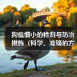 狗瘟细小的检测与防治措施(科学、准确的方法帮助宠物摆脱病痛)(图2) 狗瘟细小的检测与防治措施(科学、准确的方法帮助宠物摆脱病痛)(图2)