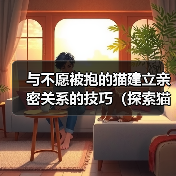 与不愿被抱的猫建立亲密关系的技巧(探索猫咪心理,与独立性强的猫咪建立深厚的情感纽带)(图4) 与不愿被抱的猫建立亲密关系的技巧(探索猫咪心理,与独立性强的猫咪建立深厚的情感纽带)(图4)