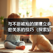 与不愿被抱的猫建立亲密关系的技巧(探索猫咪心理,与独立性强的猫咪建立深厚的情感纽带)(图1) 与不愿被抱的猫建立亲密关系的技巧(探索猫咪心理,与独立性强的猫咪建立深厚的情感纽带)(图1)