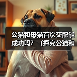 公猫和母猫首次交配能成功吗?(探究公猫和母猫第一次交配的可能性及关键因素)(图2) 公猫和母猫首次交配能成功吗?(探究公猫和母猫第一次交配的可能性及关键因素)(图2)