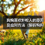 狗狗喜欢扑咬人的原因及应对方法(解析狗狗扑咬行为背后的动机与如何正确引导)(图1) 狗狗喜欢扑咬人的原因及应对方法(解析狗狗扑咬行为背后的动机与如何正确引导)(图1)