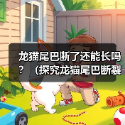 龙猫尾巴断了还能长吗?(探究龙猫尾巴断裂后的再生能力)(图1) 龙猫尾巴断了还能长吗?(探究龙猫尾巴断裂后的再生能力)(图1)