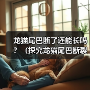 龙猫尾巴断了还能长吗?(探究龙猫尾巴断裂后的再生能力)(图3) 龙猫尾巴断了还能长吗?(探究龙猫尾巴断裂后的再生能力)(图3)