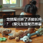 龙猫尾巴断了还能长吗?(探究龙猫尾巴断裂后的再生能力)(图4) 龙猫尾巴断了还能长吗?(探究龙猫尾巴断裂后的再生能力)(图4)