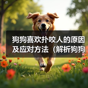 狗狗喜欢扑咬人的原因及应对方法(解析狗狗扑咬行为背后的动机与如何正确引导)(图2) 狗狗喜欢扑咬人的原因及应对方法(解析狗狗扑咬行为背后的动机与如何正确引导)(图2)