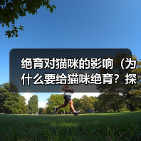 绝育对猫咪的影响(为什么要给猫咪绝育?探讨绝育的利与弊)(图1) 绝育对猫咪的影响(为什么要给猫咪绝育?探讨绝育的利与弊)(图1)