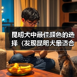 昆明犬中最佳颜色的选择（发现昆明犬最适合的颜色，提供理想的伴侣）（图3）