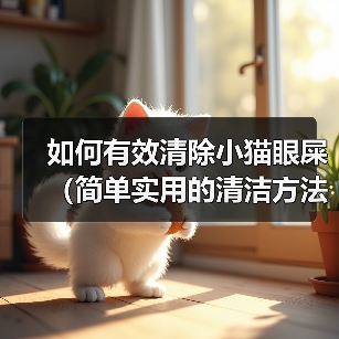 如何有效清除小猫眼屎(简单实用的清洁方法及注意事项)(图4) 如何有效清除小猫眼屎(简单实用的清洁方法及注意事项)(图4)