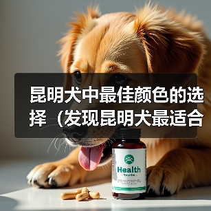 昆明犬中最佳颜色的选择（发现昆明犬最适合的颜色，提供理想的伴侣）（图1）
