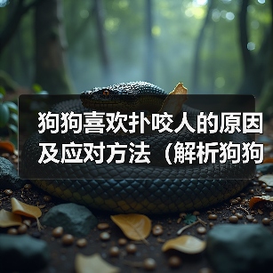 狗狗喜欢扑咬人的原因及应对方法(解析狗狗扑咬行为背后的动机与如何正确引导)(图3) 狗狗喜欢扑咬人的原因及应对方法(解析狗狗扑咬行为背后的动机与如何正确引导)(图3)