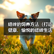 蟋蟀的饲养方法（打造健康、愉悦的蟋蟀生活）（图3）