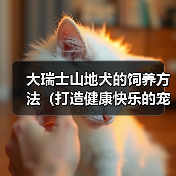 大瑞士山地犬的饲养方法（打造健康快乐的宠物生活）（图1）