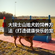 大瑞士山地犬的饲养方法（打造健康快乐的宠物生活）（图2）