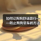 如何让狗狗舒适旅行——防止狗狗晕车的方法(宠物出行指南,让狗狗快乐旅行)(图3) 如何让狗狗舒适旅行——防止狗狗晕车的方法(宠物出行指南,让狗狗快乐旅行)(图3)