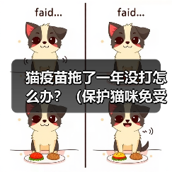 猫疫苗拖了一年没打怎么办?(保护猫咪免受疾病侵害的紧急措施)(图4) 猫疫苗拖了一年没打怎么办?(保护猫咪免受疾病侵害的紧急措施)(图4)
