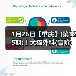 1月26日【重庆】(第125期)丨犬猫外科(高阶)班!含SUB(人人可实操)、乳糜胸等技术!(图3) 1月26日【重庆】(第125期)丨犬猫外科(高阶)班!含SUB(人人可实操)、乳糜胸等技术!(图3)