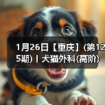 1月26日【重庆】(第125期)丨犬猫外科(高阶)班!含SUB(人人可实操)、乳糜胸等技术!(图1) 1月26日【重庆】(第125期)丨犬猫外科(高阶)班!含SUB(人人可实操)、乳糜胸等技术!(图1)