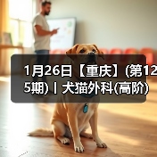 1月26日【重庆】(第125期)丨犬猫外科(高阶)班!含SUB(人人可实操)、乳糜胸等技术!(图4) 1月26日【重庆】(第125期)丨犬猫外科(高阶)班!含SUB(人人可实操)、乳糜胸等技术!(图4)