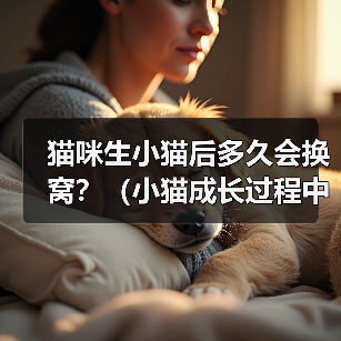 猫咪生小猫后多久会换窝?(小猫成长过程中的窝换频率)(图2) 猫咪生小猫后多久会换窝?(小猫成长过程中的窝换频率)(图2)