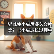 猫咪生小猫后多久会换窝?(小猫成长过程中的窝换频率)(图3) 猫咪生小猫后多久会换窝?(小猫成长过程中的窝换频率)(图3)