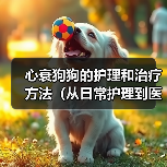 心衰狗狗的护理和治疗方法(从日常护理到医疗干预,全方位关爱你的心衰狗狗)(图2) 心衰狗狗的护理和治疗方法(从日常护理到医疗干预,全方位关爱你的心衰狗狗)(图2)