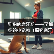 狗狗的磨牙期——了解你的小宠物(探究磨牙期对狗狗健康和行为的影响)(图1) 狗狗的磨牙期——了解你的小宠物(探究磨牙期对狗狗健康和行为的影响)(图1)