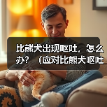 比熊犬出现呕吐,怎么办?(应对比熊犬呕吐的有效措施)(图2) 比熊犬出现呕吐,怎么办?(应对比熊犬呕吐的有效措施)(图2)