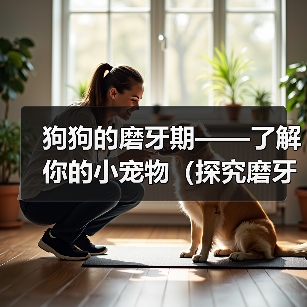 狗狗的磨牙期——了解你的小宠物(探究磨牙期对狗狗健康和行为的影响)(图3) 狗狗的磨牙期——了解你的小宠物(探究磨牙期对狗狗健康和行为的影响)(图3)