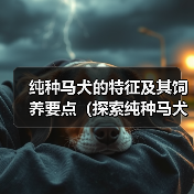 纯种马犬的特征及其饲养要点(探索纯种马犬的独特特征,为饲养者提供有价值的建议)(图3) 纯种马犬的特征及其饲养要点(探索纯种马犬的独特特征,为饲养者提供有价值的建议)(图3)