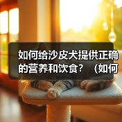 如何给沙皮犬提供正确的营养和饮食?(如何给沙皮犬提供正确的营养和饮食?)(图3) 如何给沙皮犬提供正确的营养和饮食?(如何给沙皮犬提供正确的营养和饮食?)(图3)