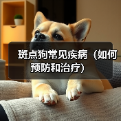 斑点狗常见疾病(如何预防和治疗)(图2) 斑点狗常见疾病(如何预防和治疗)(图2)