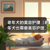 老年犬的美容护理（老年犬也需要美容护理，关注老年犬的美丽与健康）（图3）
