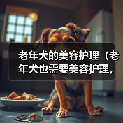 老年犬的美容护理（老年犬也需要美容护理，关注老年犬的美丽与健康）（图2）