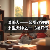 博美犬——最受欢迎的小型犬种之一(揭开博美犬之美的秘密,带您认识这个可爱的小家伙)(图2) 博美犬——最受欢迎的小型犬种之一(揭开博美犬之美的秘密,带您认识这个可爱的小家伙)(图2)