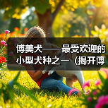 博美犬——最受欢迎的小型犬种之一(揭开博美犬之美的秘密,带您认识这个可爱的小家伙)(图1) 博美犬——最受欢迎的小型犬种之一(揭开博美犬之美的秘密,带您认识这个可爱的小家伙)(图1)